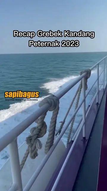 Recap-Grebek-Kandang-Peternak-Sapi-2023-